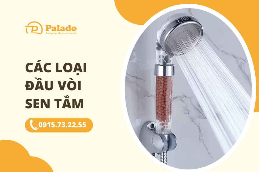 Có những loại nào trên thị trường