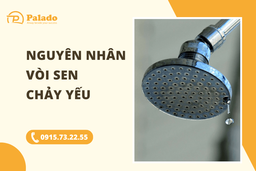 Nguyên nhân vòi sen chảy yếu