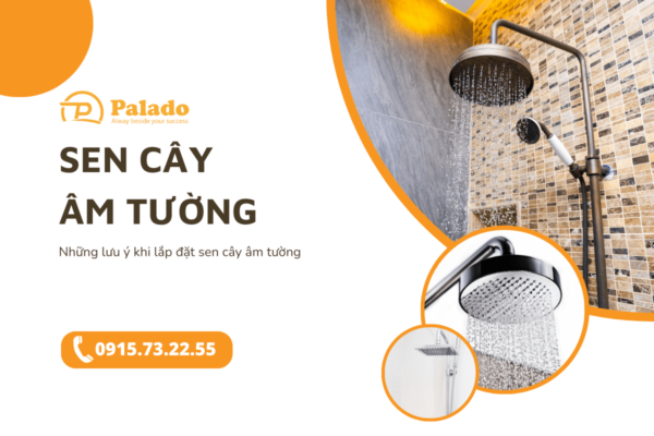 Sen cây âm tường Những lưu ý khi lắp đặt