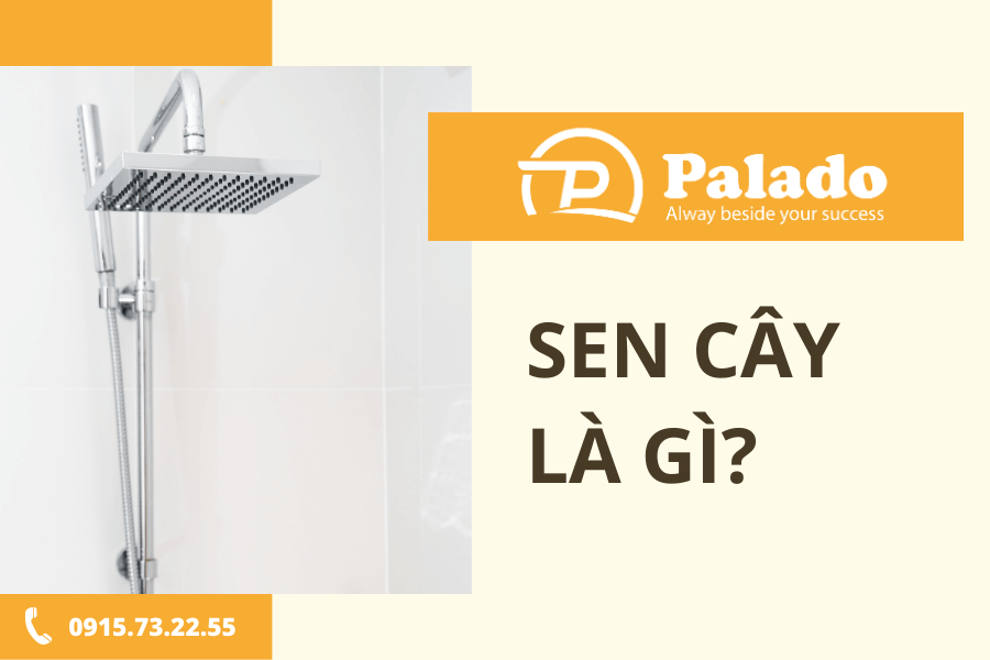 Sen cây là gì Sen cây là gì