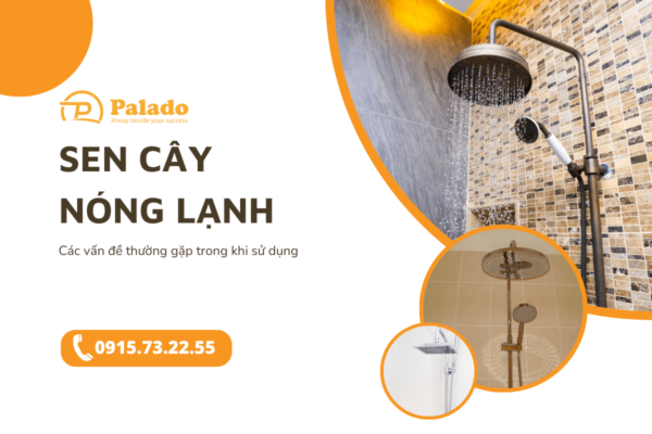 Sen cây nóng lạnh Các vấn đề thường gặp trong quá trình sử dụng