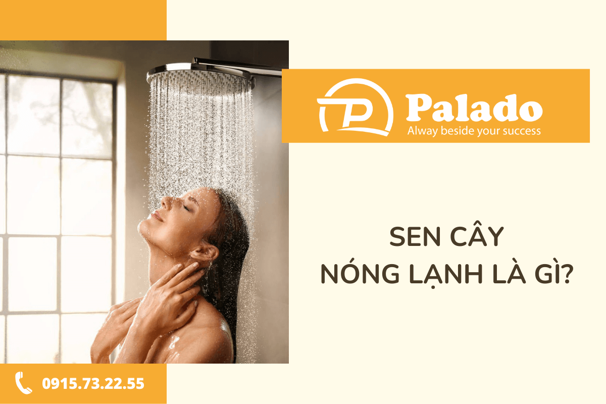 Sen cây nóng lạnh là gì