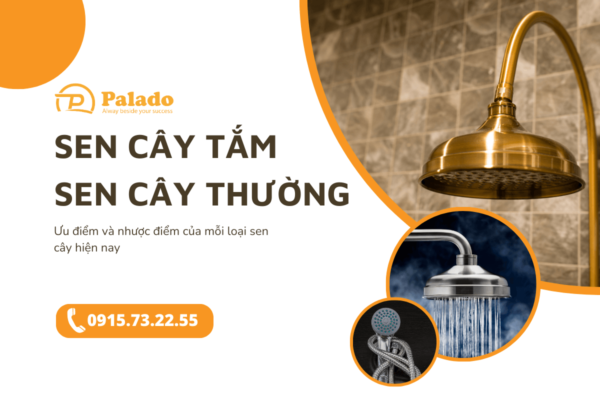 Sen cây tắm Vì sao nên sử dụng thay cho sen thường