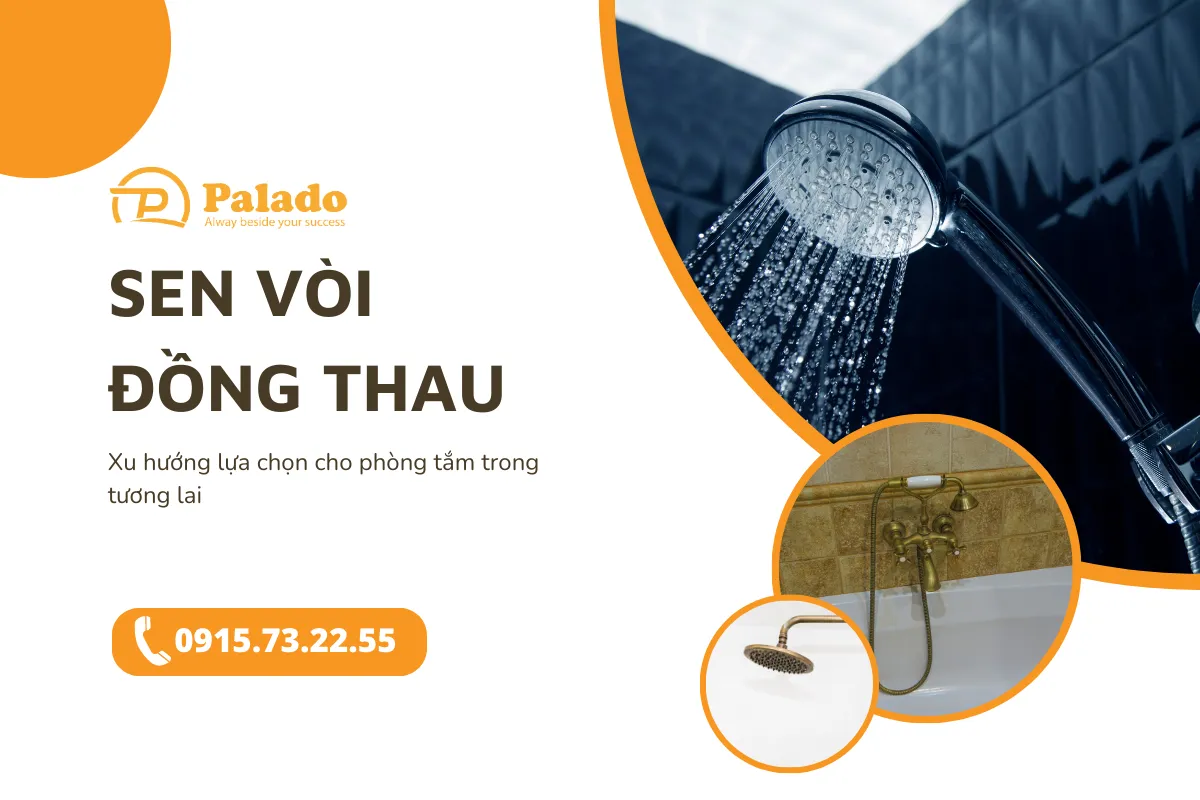 Sự thay thế dần của sen vòi đồng thau cho vòi Inox trong phòng tắm 3