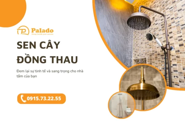 Sự tinh tế và sang trọng của sen cây đồng thau trong phòng tắm 6