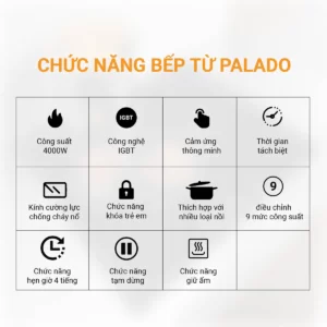 Thông số Chức năng bếp từ PLD 6688A 1200 x 1200 1