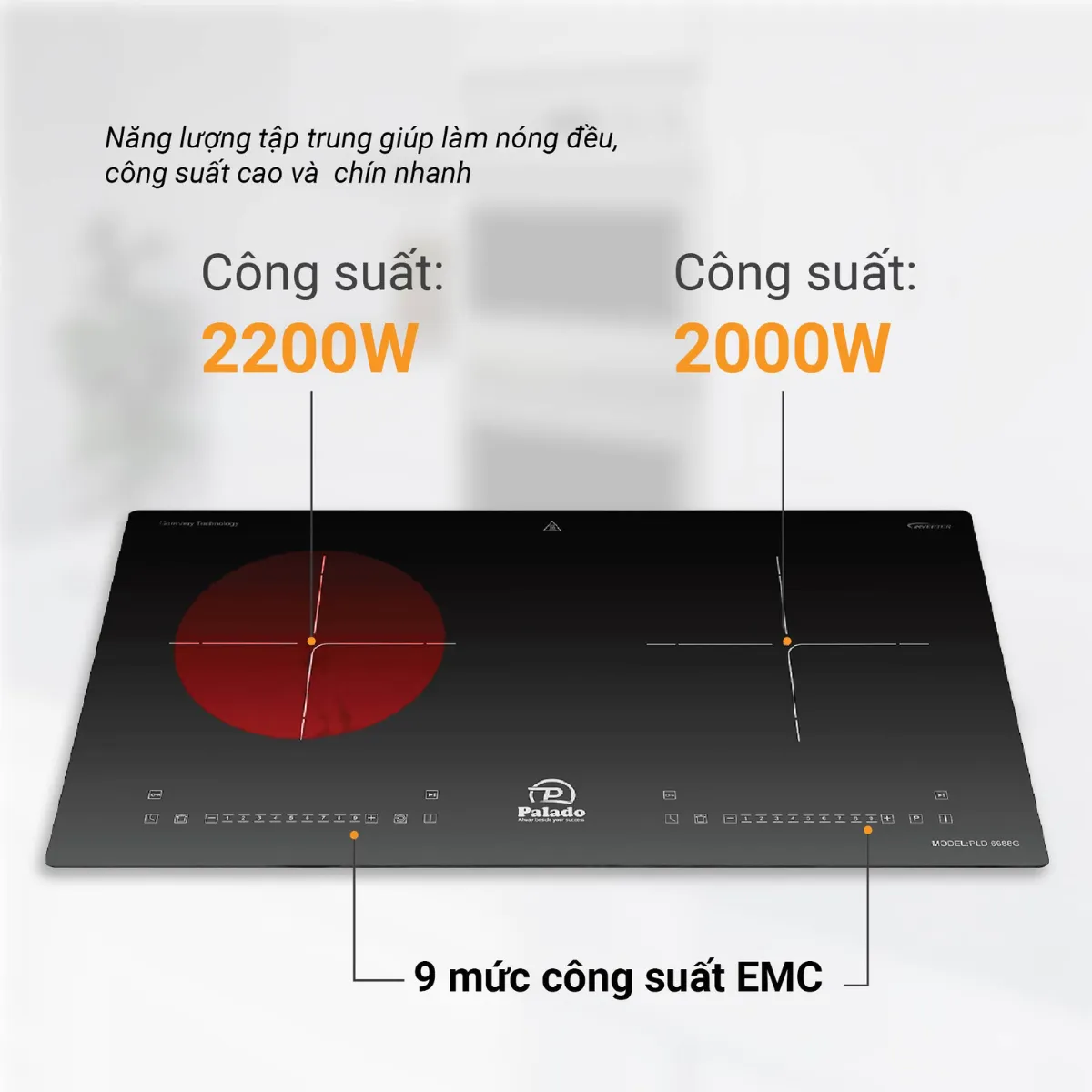 Cam kết chất lượng và dịch vụ
