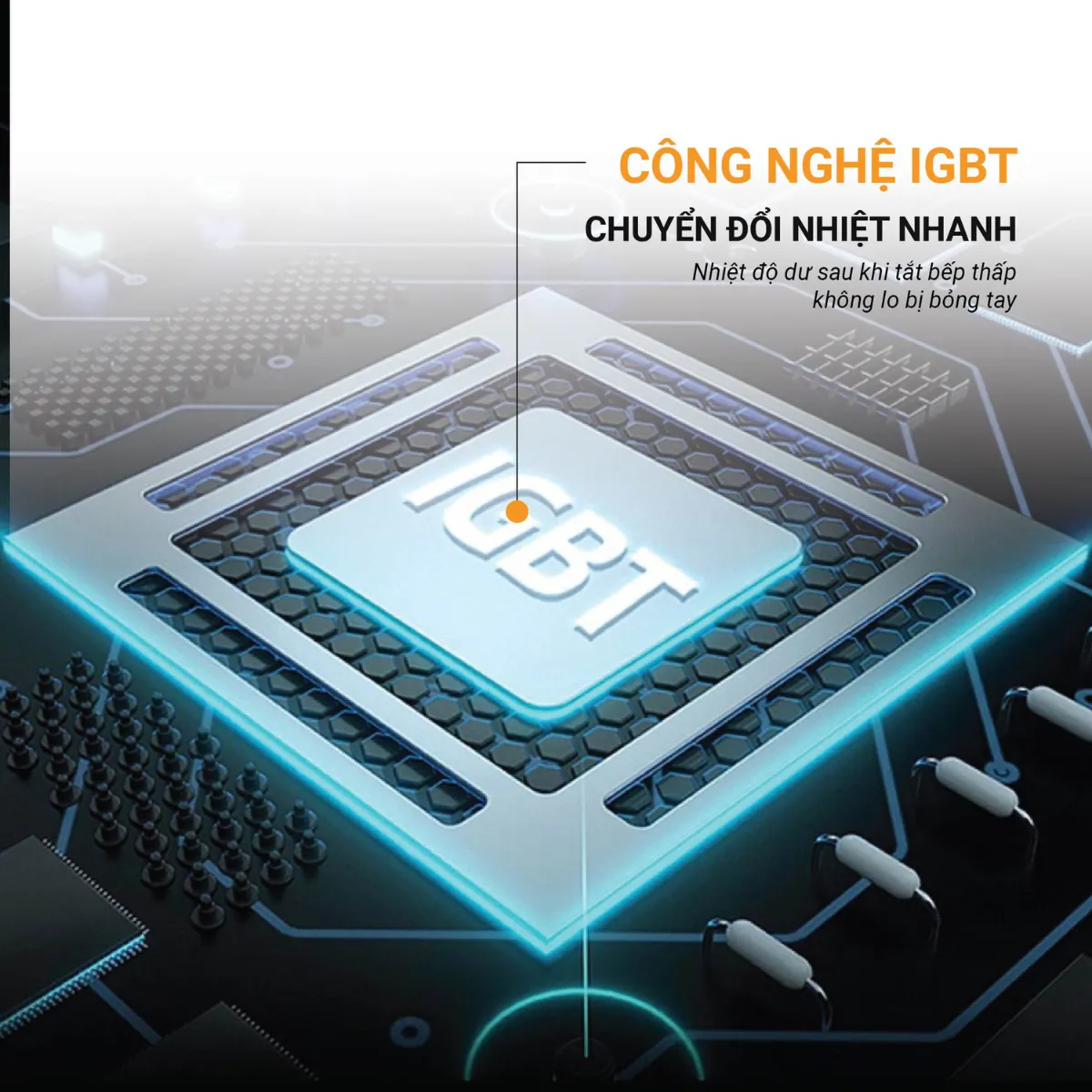 Cam kết và bảo hành