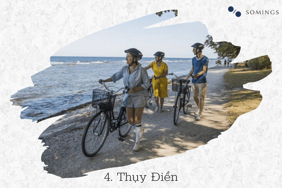 Bạn có biết, có hơn 1 tỷ xe đạp trên thế giới? Thụy Điển có tỷ lệ người sử dụng các phương tiện khác chỉ khoảng 37%