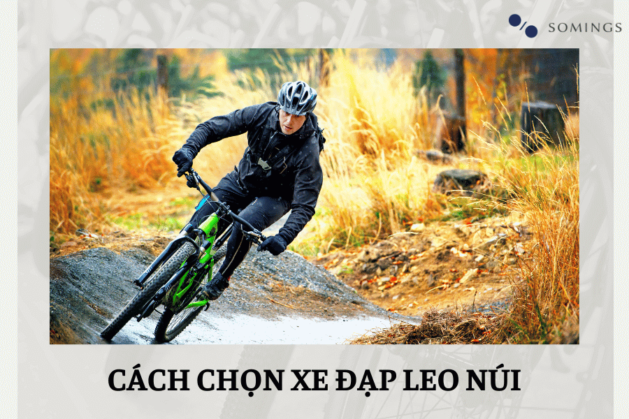 Cách lựa chọn một chiếc xe đạp leo núi