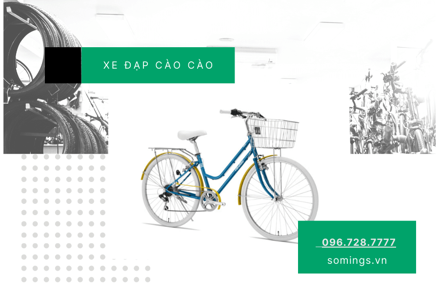 Đối tượng phù hợp với xe đạp cào cào