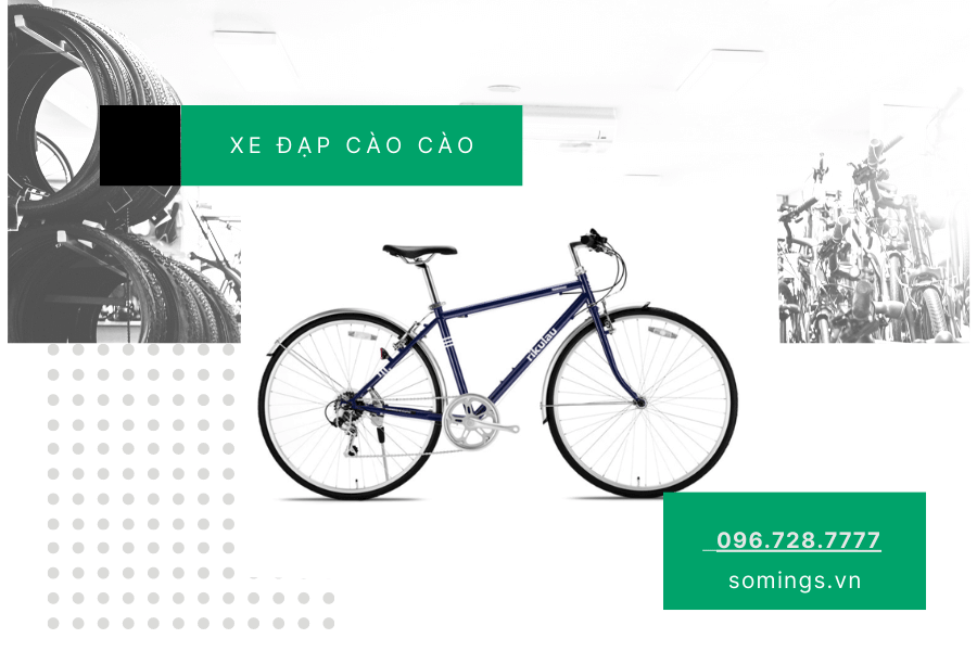Lợi ích khi sở hữu xe đạp cào cào