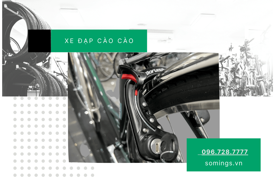 Khóa càng cua Curin