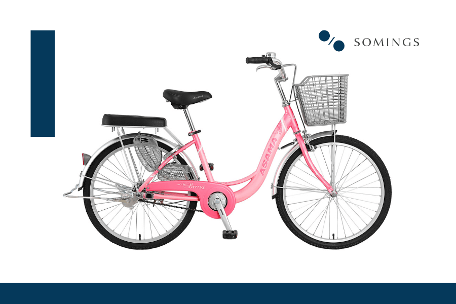 Tìm Hiểu Địa Chỉ Mua Xe Đạp Mini Uy Tín Tại Việt Nam