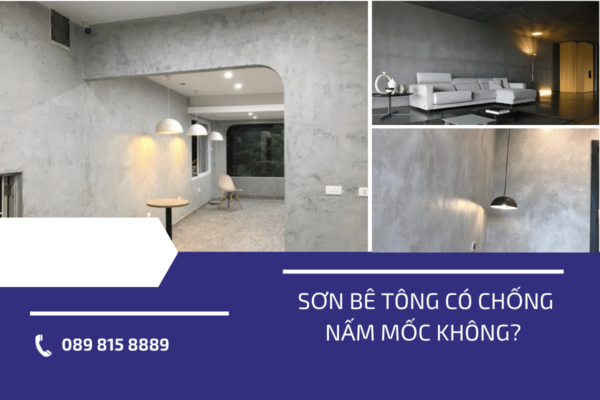 Sơn bê tông có chống nấm mốc không