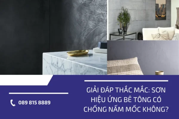 Sơn hiệu ứng bê tông chống nấm 4