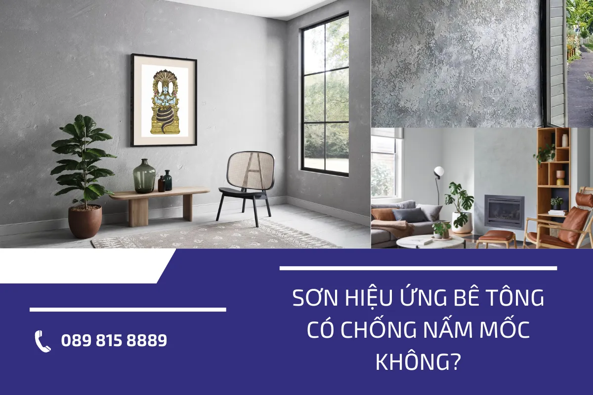 sơn chống nấm mốc 4