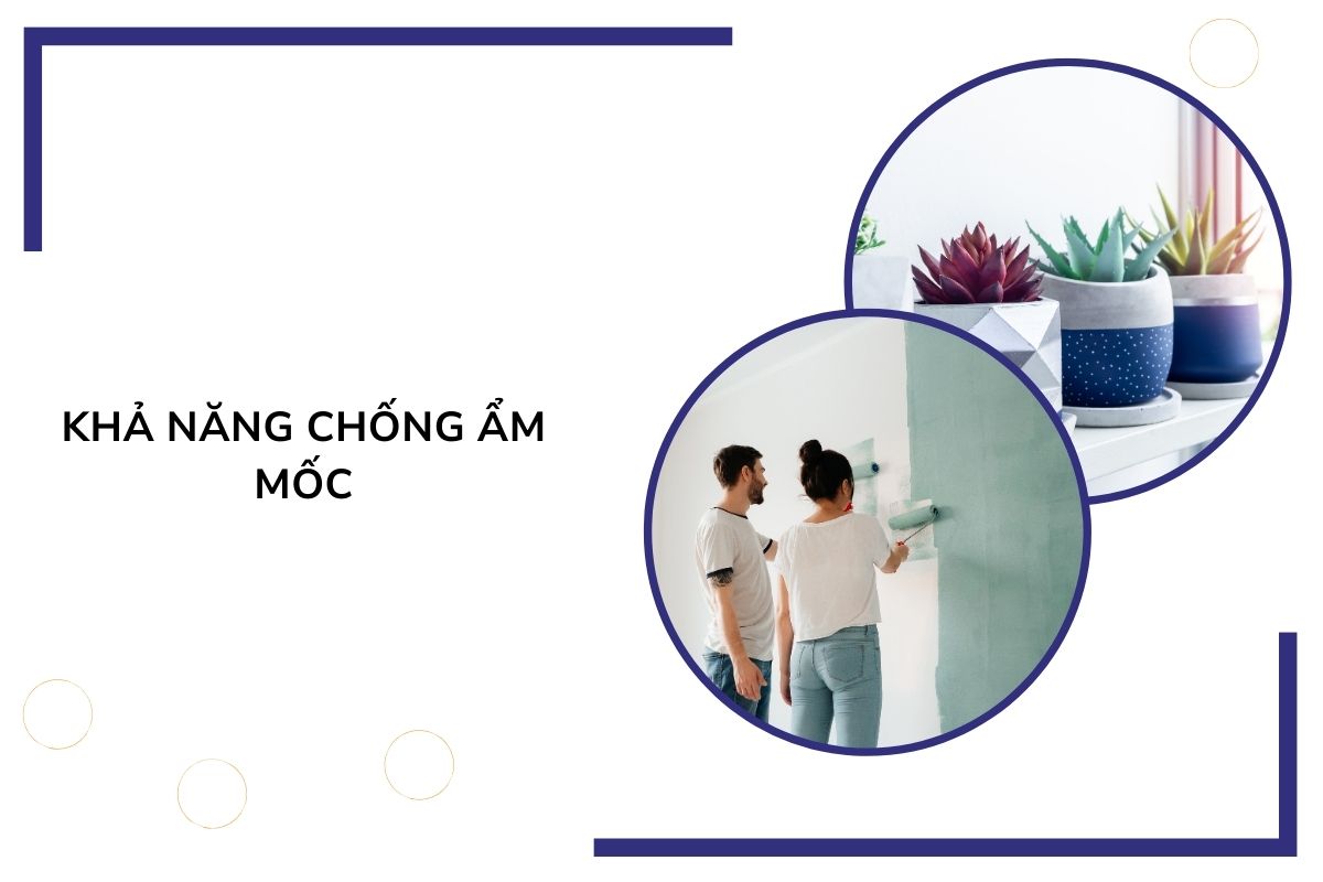 Khả năng chống ẩm mốc