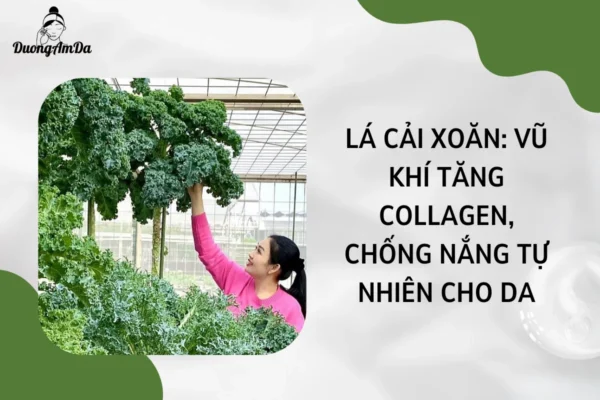 Lá cải xoăn Vũ khí tăng collagen, chống nắng tự nhiên cho da