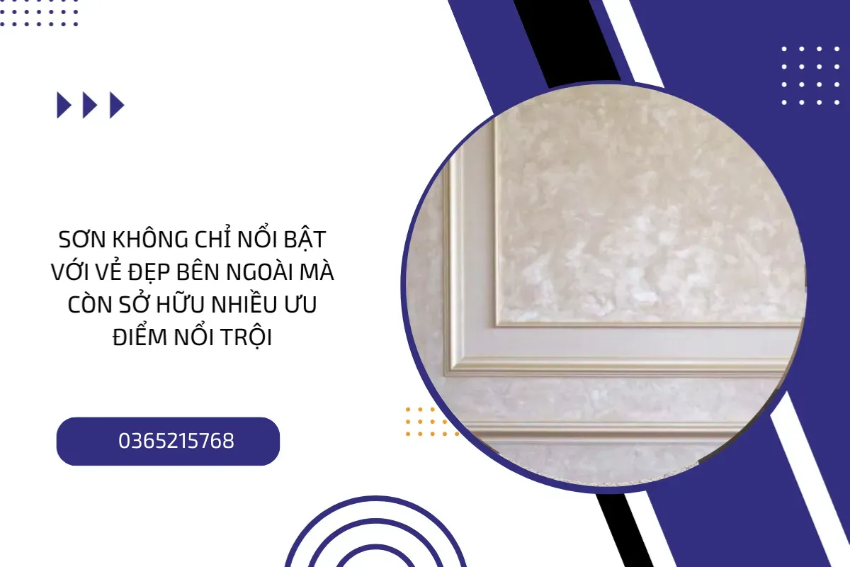 Sơn không chỉ nổi bật với vẻ đẹp bên ngoài mà còn sở hữu nhiều ưu điểm nổi trội.