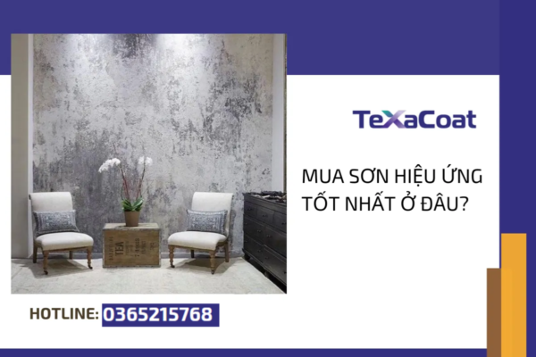 Ảnh bìa.
