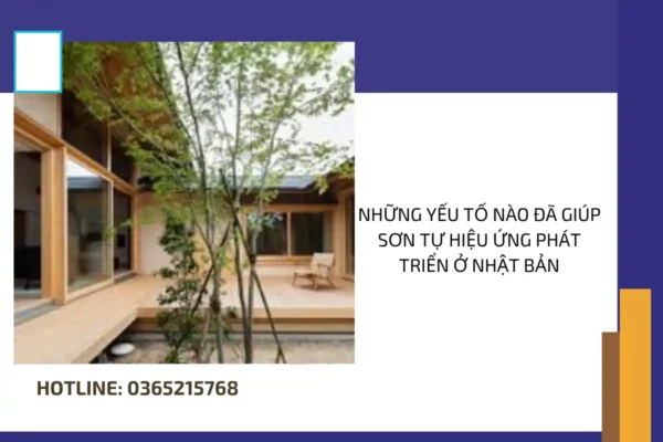 Những yếu tố nào đã giúp sơn tự hiệu ứng phát triển ở Nhật Bản