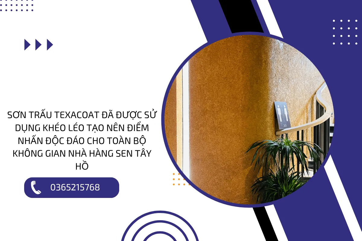 Sơn trấu Texacoat đã được sử dụng khéo léo tạo nên điểm nhấn độc đáo cho toàn bộ không gian nhà hàng Sen Tây Hồ