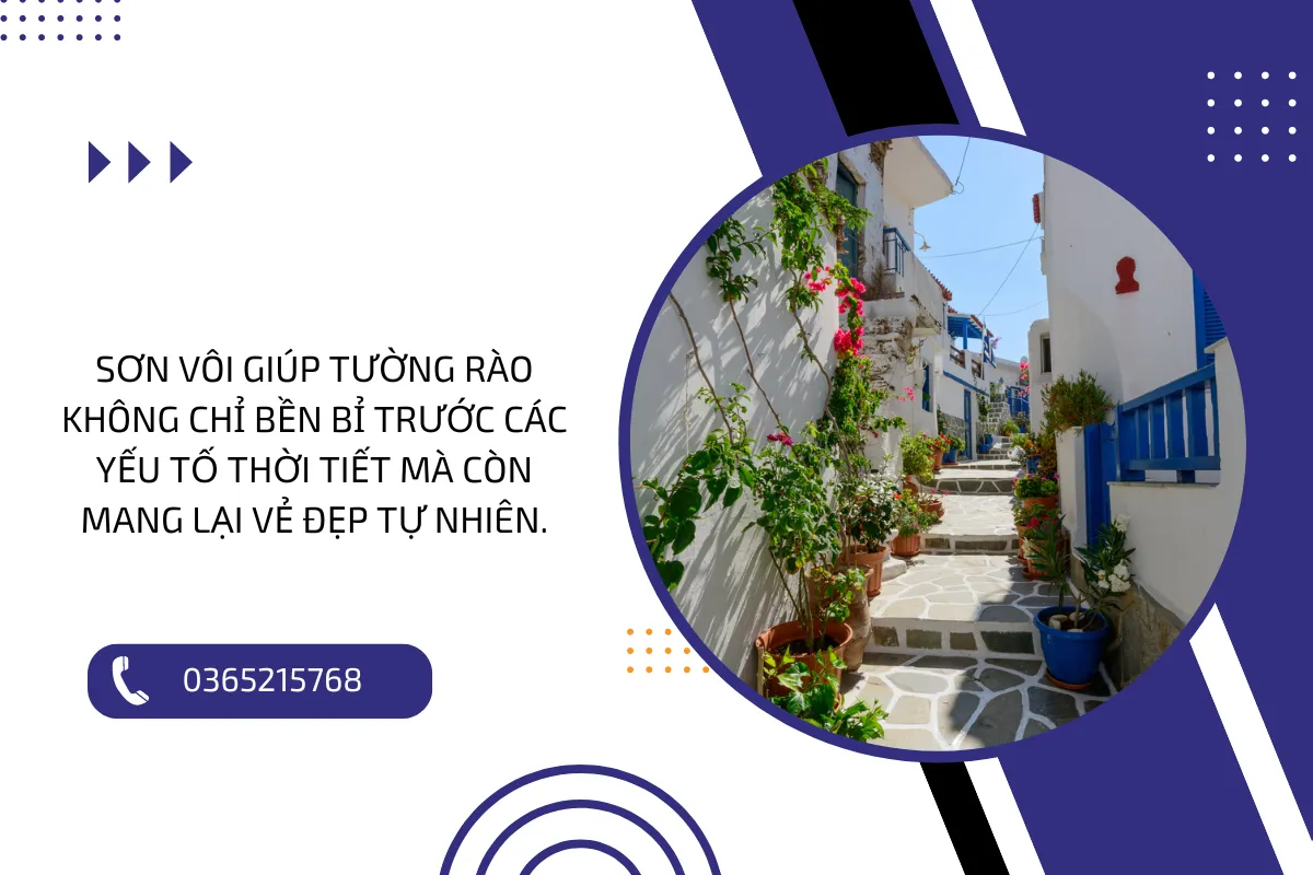 Sơn vôi giúp tường rào không chỉ bền bỉ trước các yếu tố thời tiết mà còn mang lại vẻ đẹp tự nhiên.