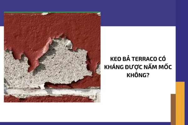 Keo bả Terraco có kháng được nấm mốc không?