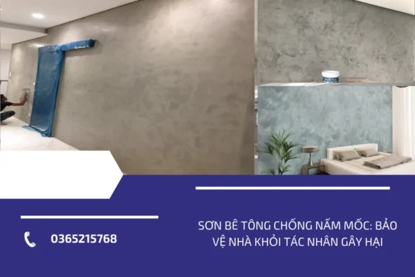 son be tong chong nam moc bao ve ngoi nha khoi tac nhan gay hai (3)