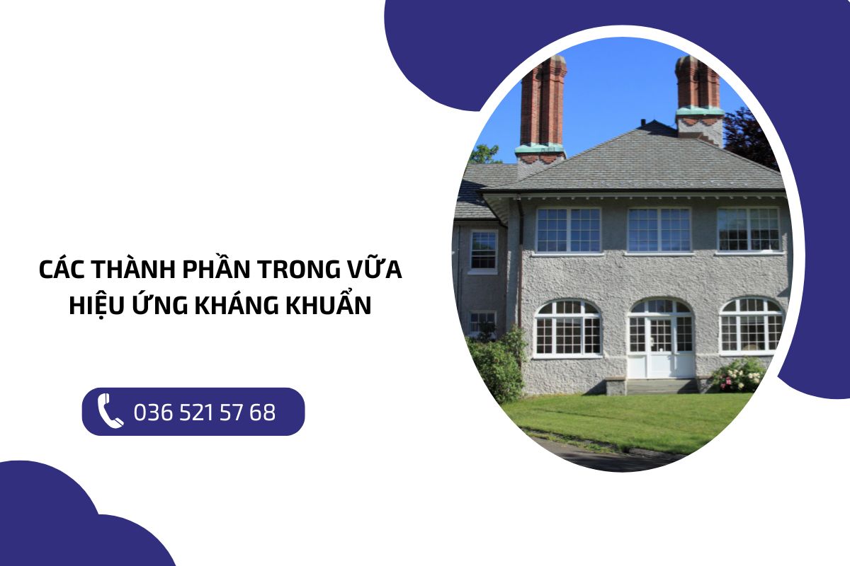 Các thành phần trong vữa hiệu ứng kháng khuẩn