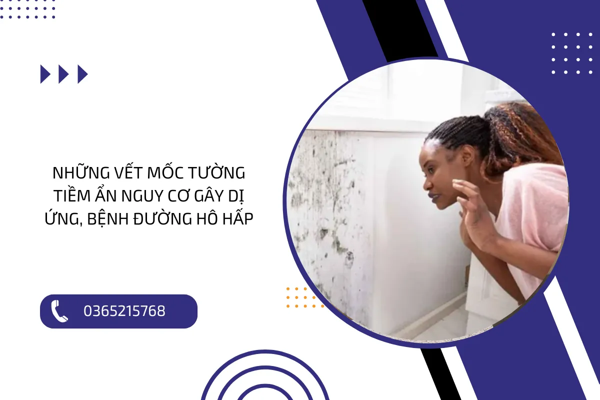 Những vết mốc tường tiềm ẩn nguy cơ gây dị ứng, bệnh đường hô hấp