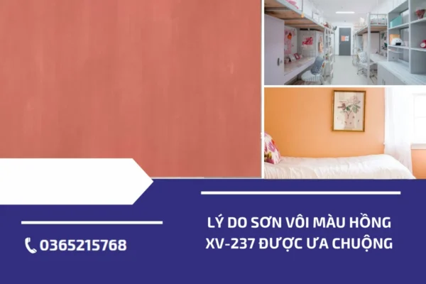 ly do son voi mau hong xv 237 duoc ua chuong (1)