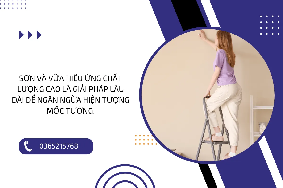 Sơn và vữa hiệu ứng chất lượng cao là giải pháp lâu dài để ngăn ngừa hiện tượng mốc tường.