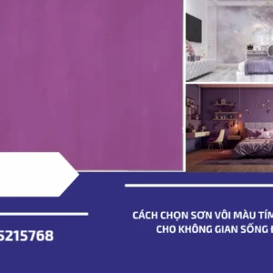 cach chon son voi mau tim xv 255 cho khong gian song dep (1)