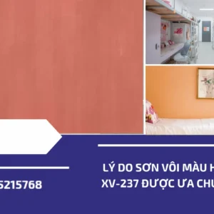 ly do son voi mau hong xv 237 duoc ua chuong (1)