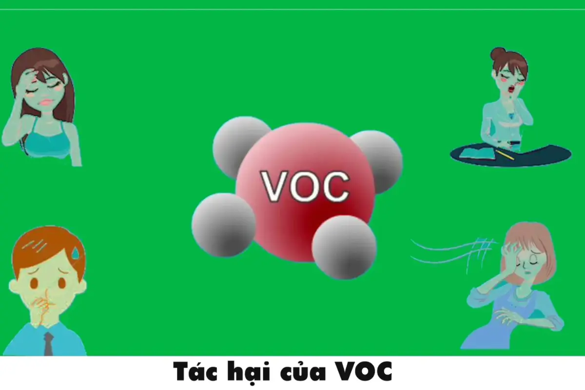 vữa hiệu ứng (3) vữa hiệu ứng (3)
