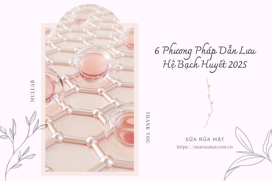 6 Phương Pháp Dẫn Lưu Hệ Bạch Huyết 2025