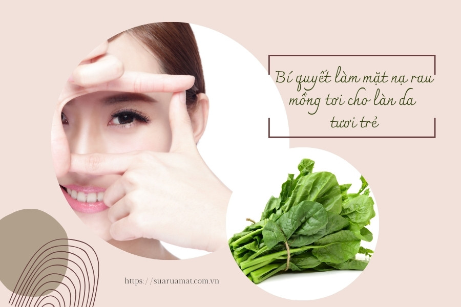 Rau Mồng Tơi