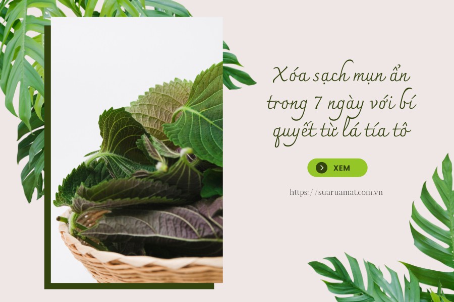 Uống Nước Lá Tía Tô