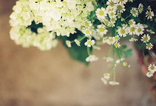 12 cach Phat day de song doi an nhien (phan 2) hinh anh