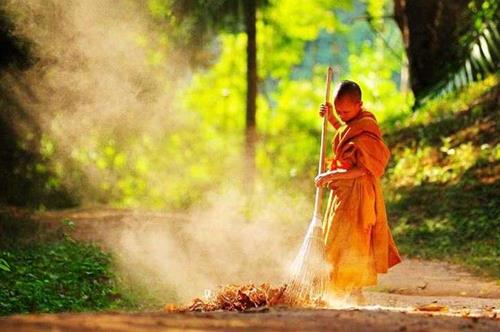 16 chu dat gia cua cao tang 1 16 chu dat gia cua cao tang 1