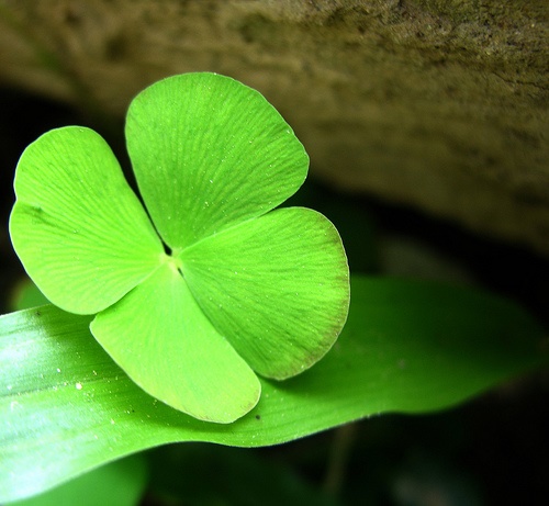 18 dau hieu bao van may go cua (phan 1) hinh anh