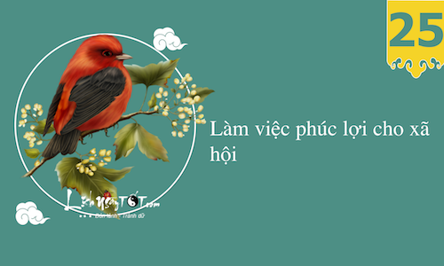 34 chieu thay da doi thit hoan doi cuoc doi P2 hinh anh goc 7