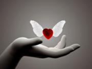 4-triet-ly-tinh-yeu-chan-phuong-cua-thien-su-thich-nhat-hanh