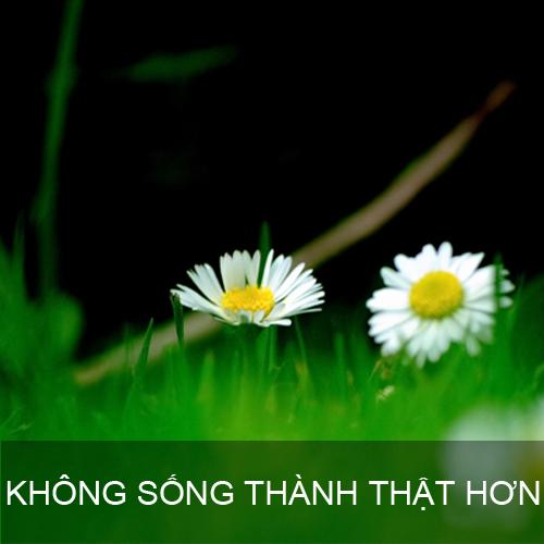 9 dieu khien moi chung ta hoi tiec ca doi hinh anh 7