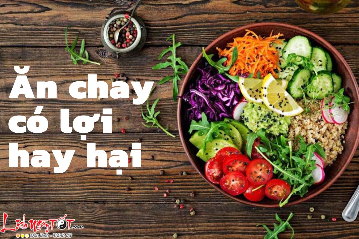 Tim hieu an chay co loi hay hai