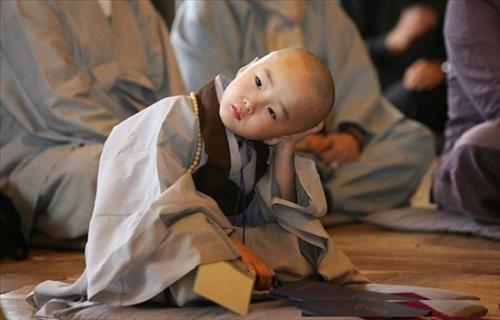 Bai hoc cho nguoi di tim niem vui va hanh phuc hinh anh