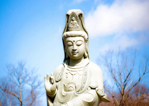 Bai le cau duyen o cua Quan Am Bo Tat cho chang trai doc than hinh anh