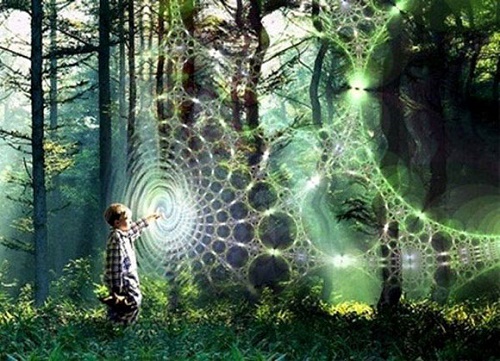 Cac nha khoa hoc tuyen bo ma quy thuc su ton tai hinh anh